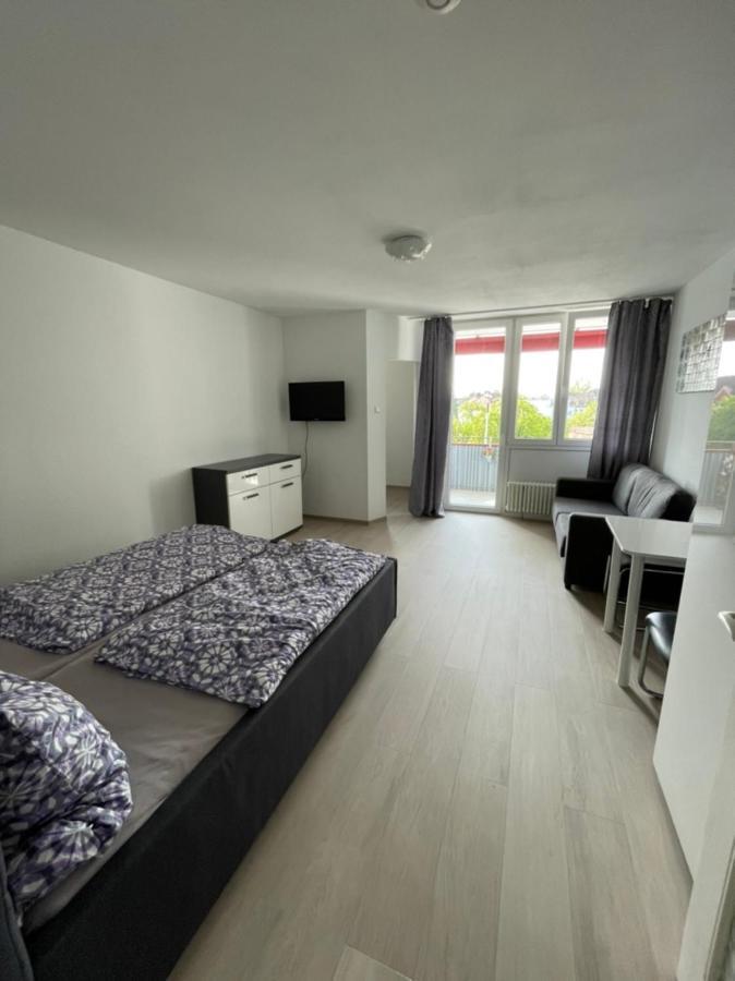 Apartment Messmer *
